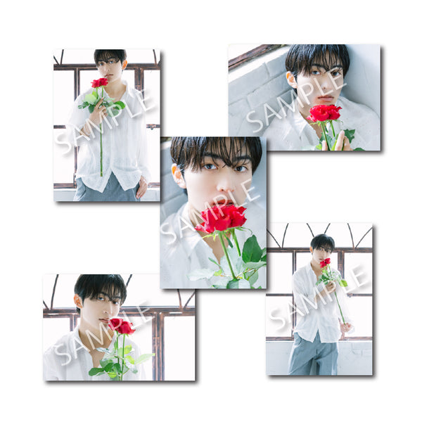 EC限定】アザーカットブロマイドB [日野友輔BD2025]＜受注期間：～8/17